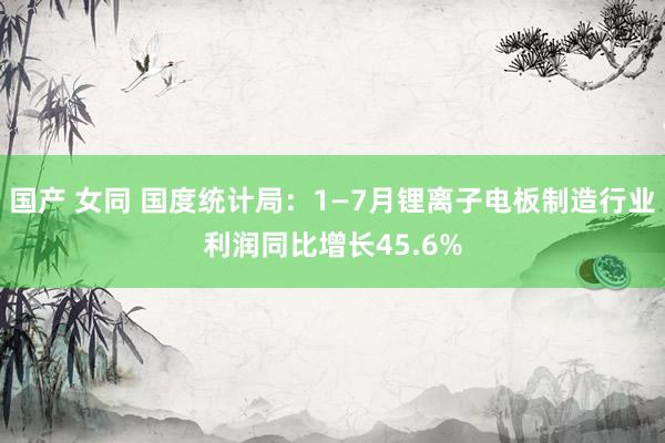 国产 女同 国度统计局：1—7月锂离子电板制造行业利润同比增长45.6%