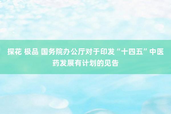 探花 极品 国务院办公厅对于印发“十四五”中医药发展有计划的见告