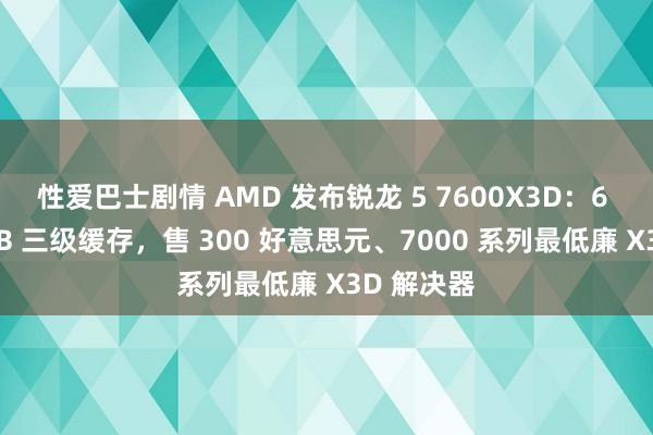 性爱巴士剧情 AMD 发布锐龙 5 7600X3D：6 核、96MB 三级缓存，售 300 好意思元、7000 系列最低廉 X3D 解决器