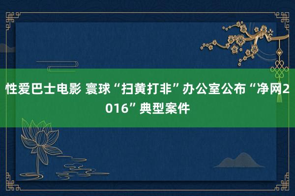 性爱巴士电影 寰球“扫黄打非”办公室公布“净网2016”典型案件